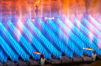 Brazacott gas fired boilers